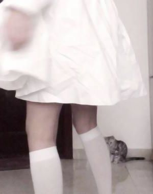 【BL】《薄荷酒》作者：椿萓小说阅读