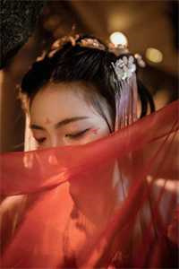 偏宠入婚小说阅读