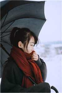 二嫁东宫 作者：春光摇小说阅读