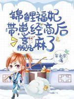 锦鲤福妃带崽经商后赢麻了小说阅读