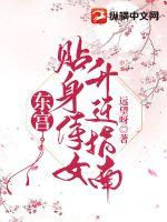 东宫贴身侍女升迁指南小说阅读