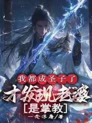 我都成圣子了，才发现老婆是掌教最新小说阅读