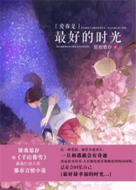 爱你是最好的时光1小说阅读