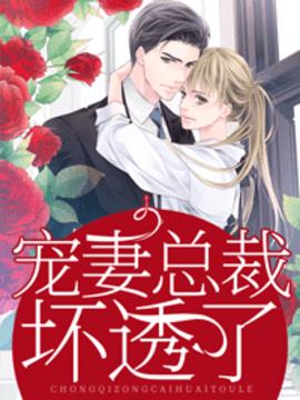 宠妻总裁坏透了小说阅读