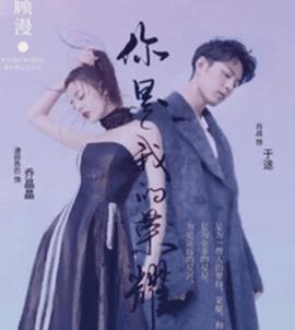 你是我的荣耀小说阅读