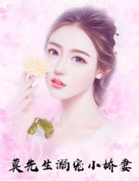 莫先生溺宠小娇妻小说阅读