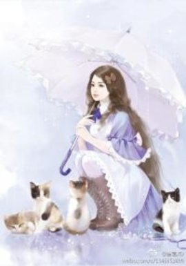 曾心许一生相伴小说阅读