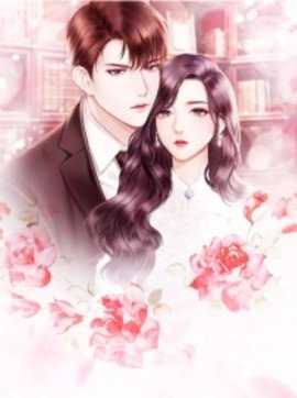 沈月月顾寒筠小说阅读