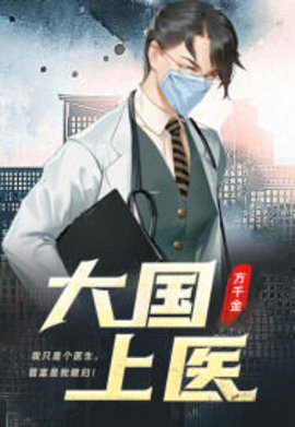 大国上医小说阅读