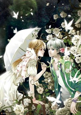 沐晚晚慕西庭小说阅读