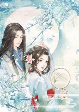 骆修叶小晚顾念小说阅读