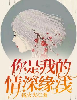 陆晚傅卿南小说阅读