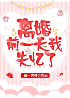 离婚前一天我失忆了小说阅读