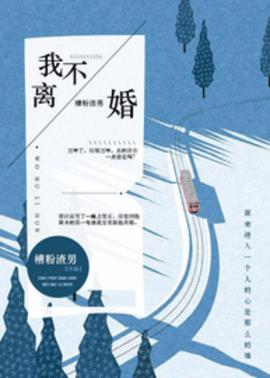我不离婚小说阅读
