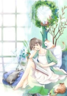 陆少秘宠小甜妻小说阅读