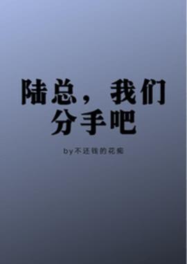 陆总，我们分手吧小说阅读