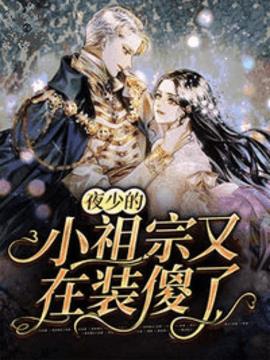 夜少的小祖宗又在装傻了小说阅读