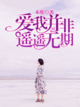 爱我并非遥遥无期小说阅读