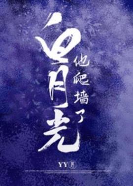 白月光他爬墙了小说阅读