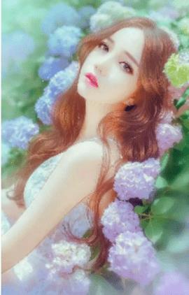 季嘉司泽城小说阅读