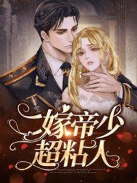 宋颜傅淮野小说阅读