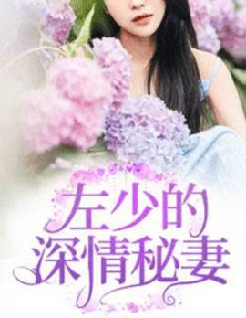 许愿左占小说小说阅读