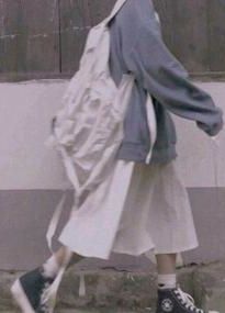 胤礽的太子群（清穿）小说阅读