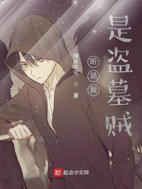 听说我是盗墓贼小说阅读