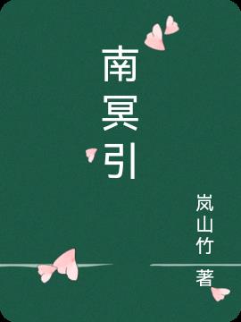 南冥引小说阅读