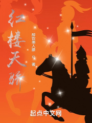 红楼天骄小说阅读