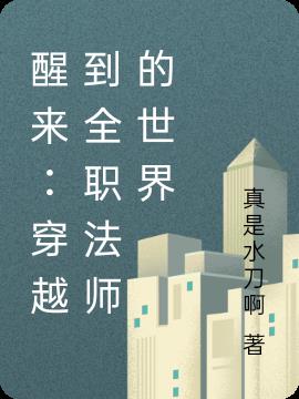 醒来：穿越到全职法师的世界小说阅读