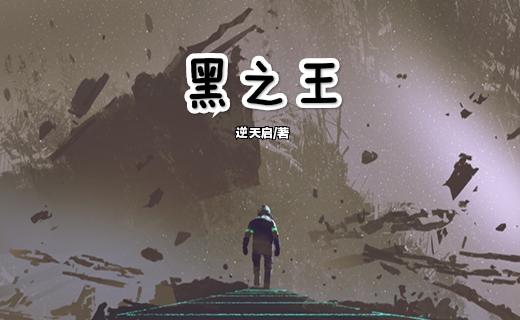 黑之王小说阅读