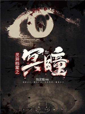 灵异档案之冥瞳小说阅读