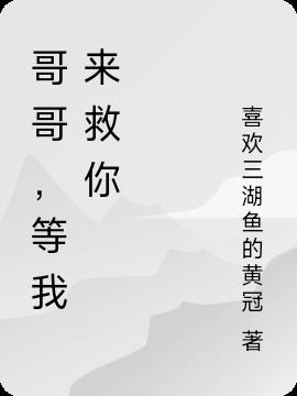 哥哥，等我来救你小说阅读