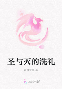 圣与灭的洗礼小说阅读