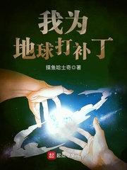 我为地球打补丁小说阅读