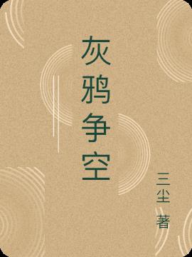 灰鸦争空小说阅读