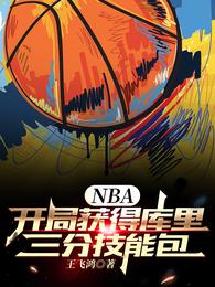 NBA：开局获得库里三分技能包小说阅读