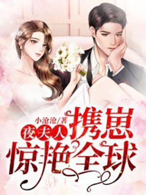 夜夫人携崽惊艳全球小说阅读
