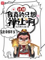 刘协：我真的只想禅让啊！小说阅读