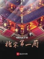 北宋第一厨小说阅读