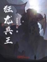 狂龙兵王小说阅读