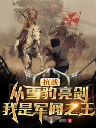 李云龙民国小说阅读