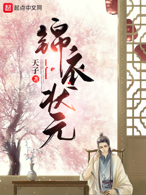 锦衣状元无删减小说阅读