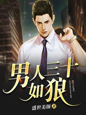 男人三十如狼小说阅读