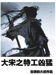 大宋之特工凶猛小说阅读