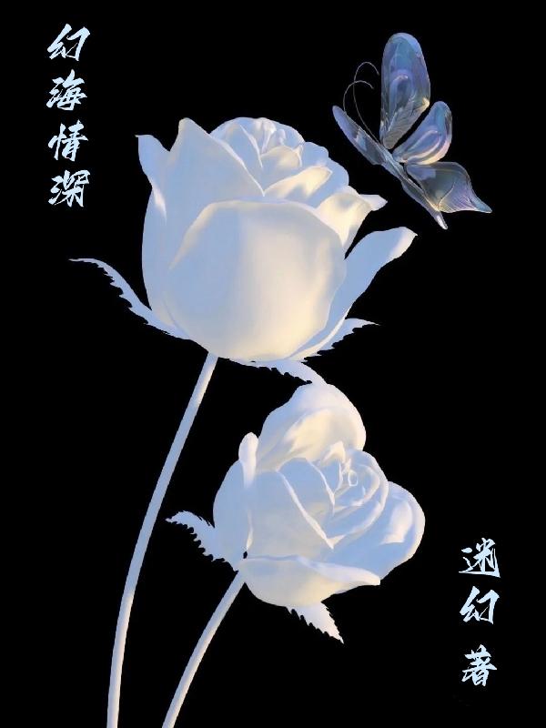 幻海情深小说阅读