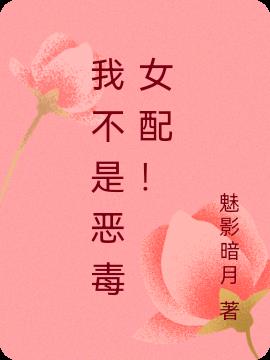 我不是恶毒女配！小说阅读