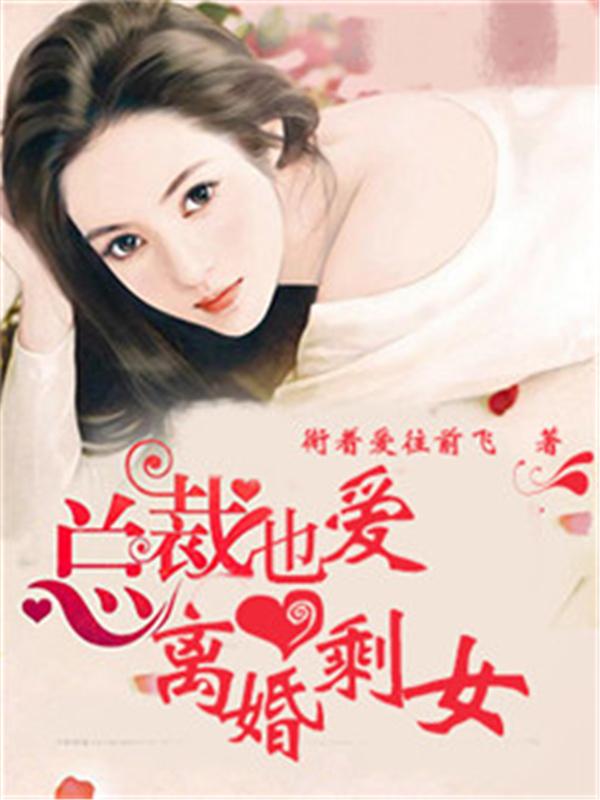 总裁也爱离婚剩女小说阅读