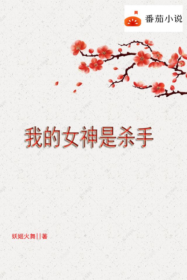 我的女神是杀手小说阅读